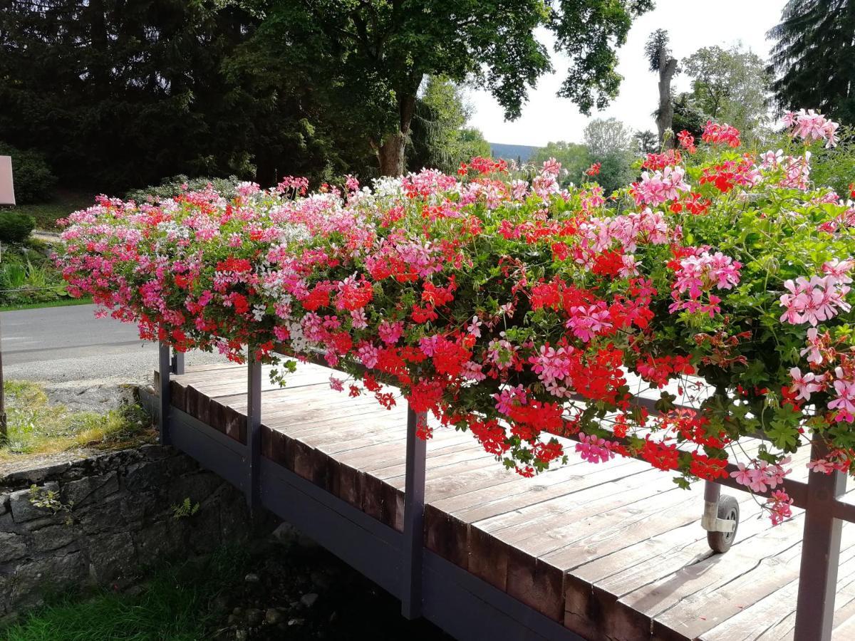Penzion Bila Voda Harrachov Zewnętrze zdjęcie