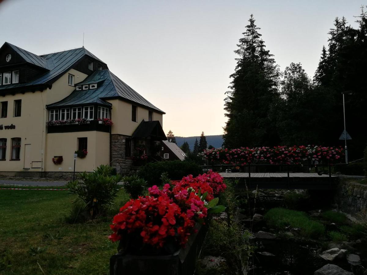 Penzion Bila Voda Harrachov Zewnętrze zdjęcie