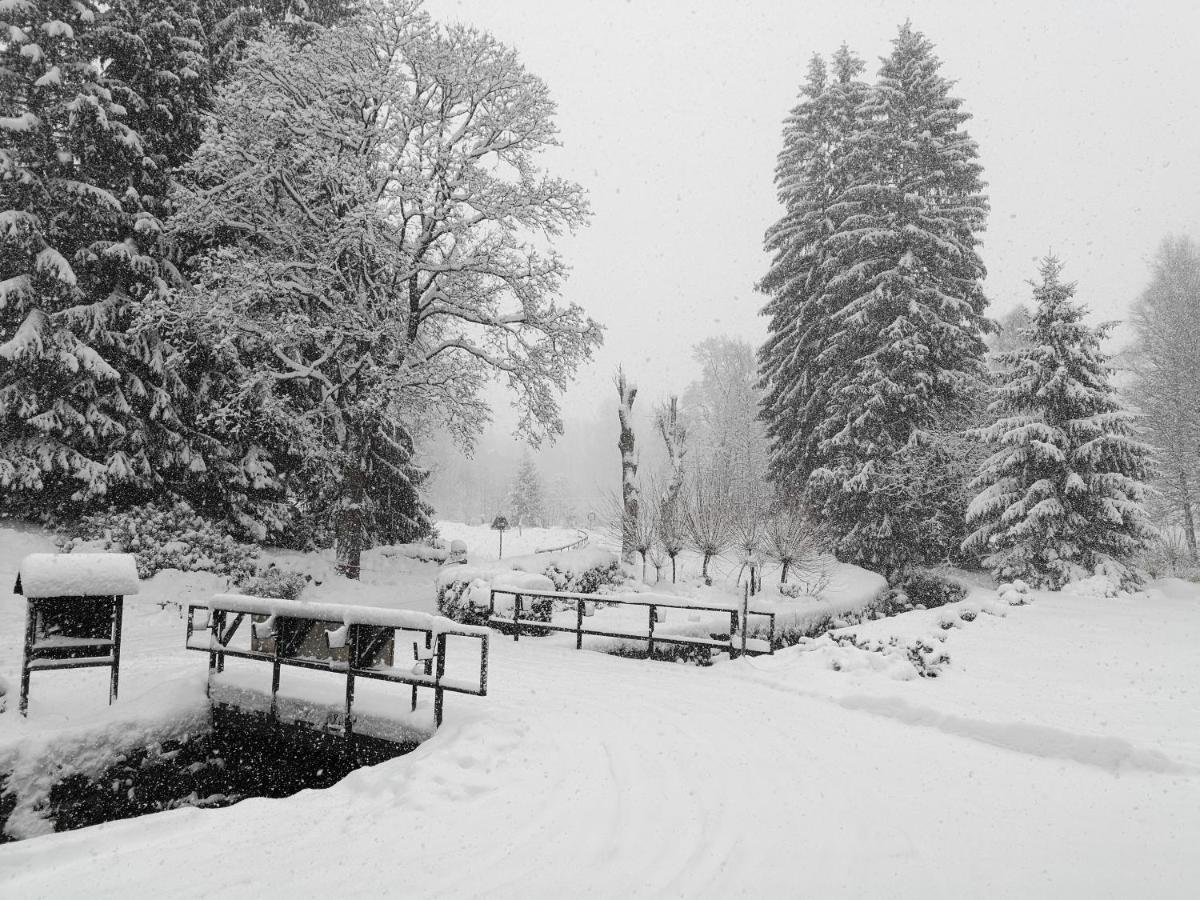 Penzion Bila Voda Harrachov Zewnętrze zdjęcie